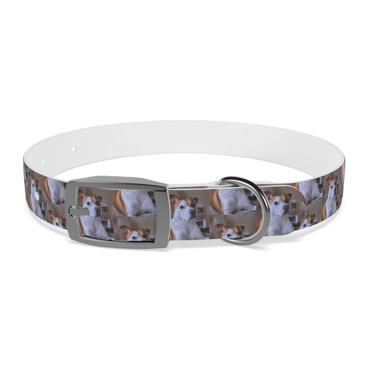 Personalized Dog Collar with Adorable Pet Design - Stylish and Durable