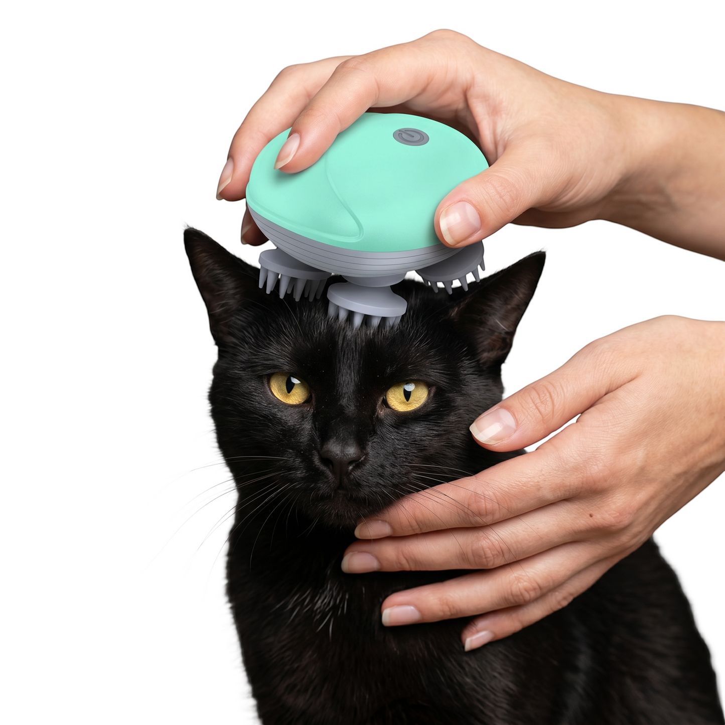 Wellness Massager für Haustiere