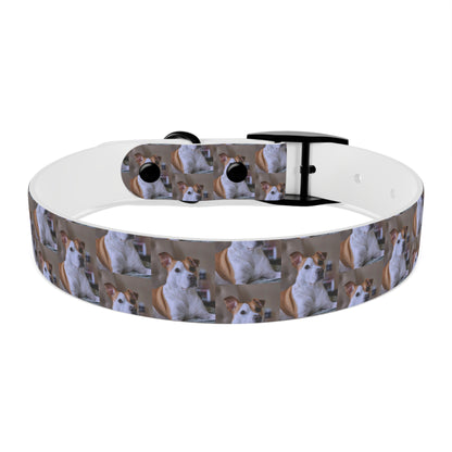 Personalized Dog Collar with Adorable Pet Design - Stylish and Durable