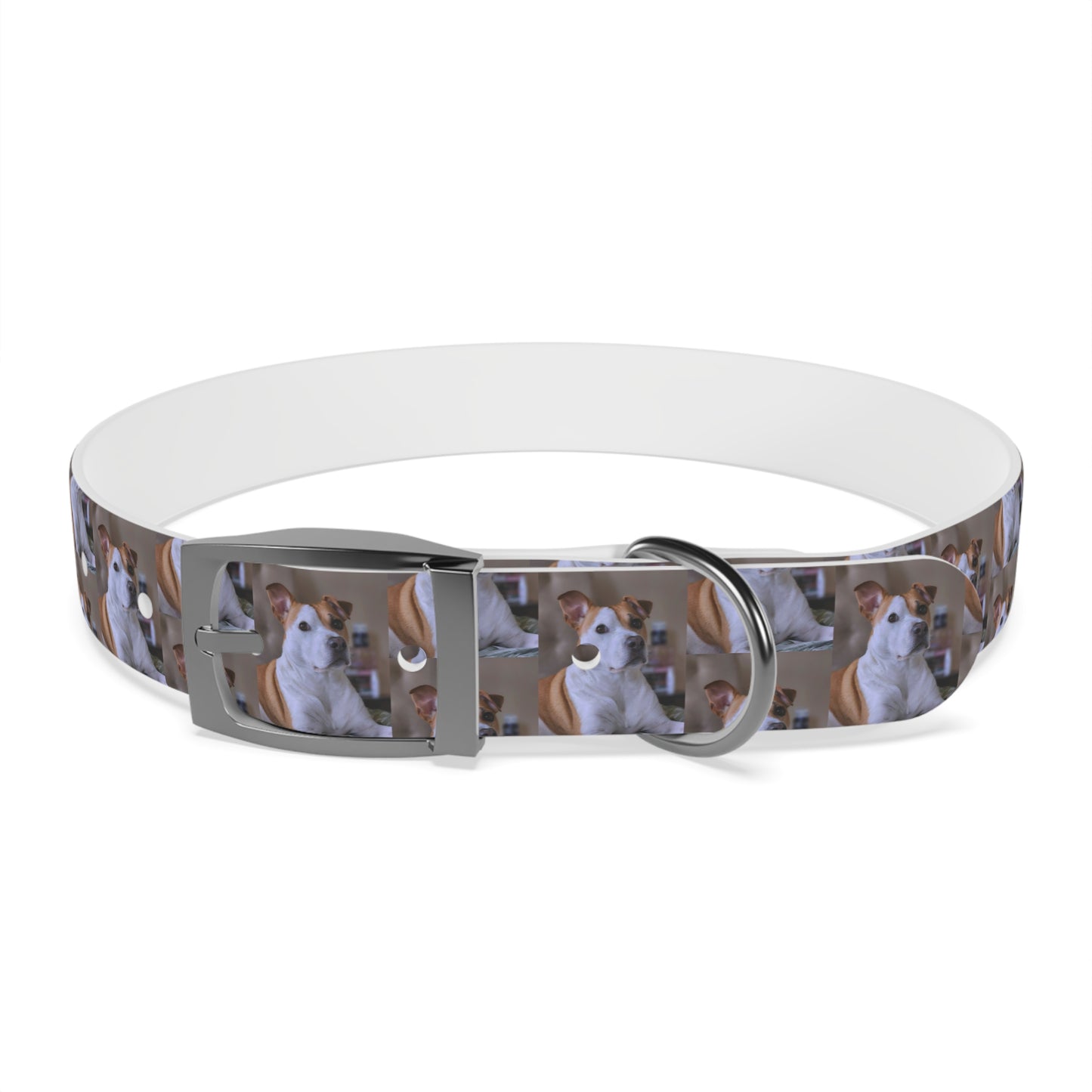 Personalized Dog Collar with Adorable Pet Design - Stylish and Durable