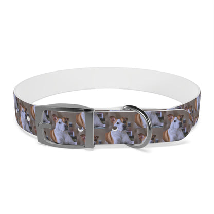 Personalized Dog Collar with Adorable Pet Design - Stylish and Durable