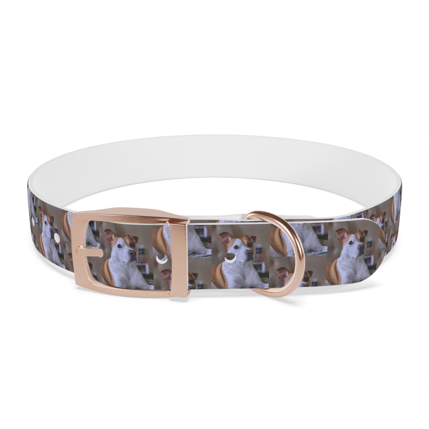 Personalized Dog Collar with Adorable Pet Design - Stylish and Durable