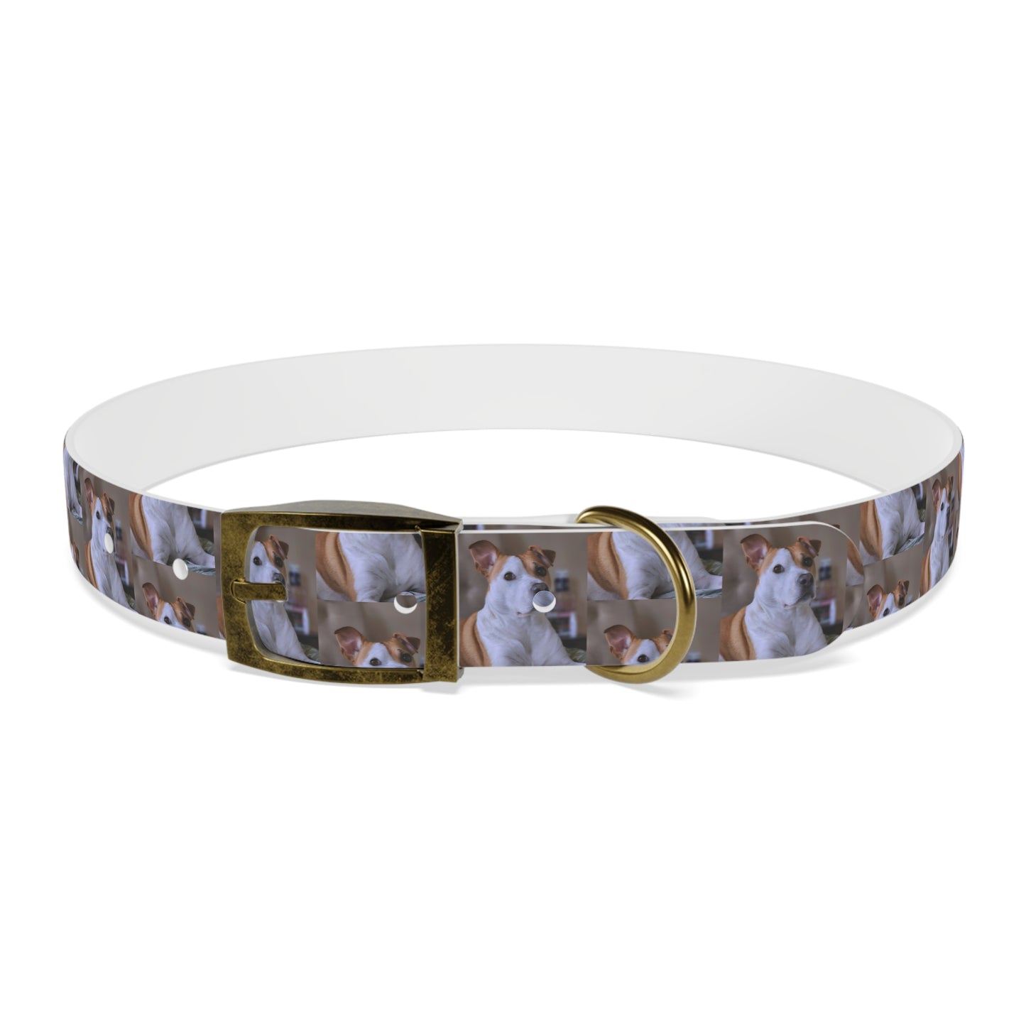 Personalized Dog Collar with Adorable Pet Design - Stylish and Durable