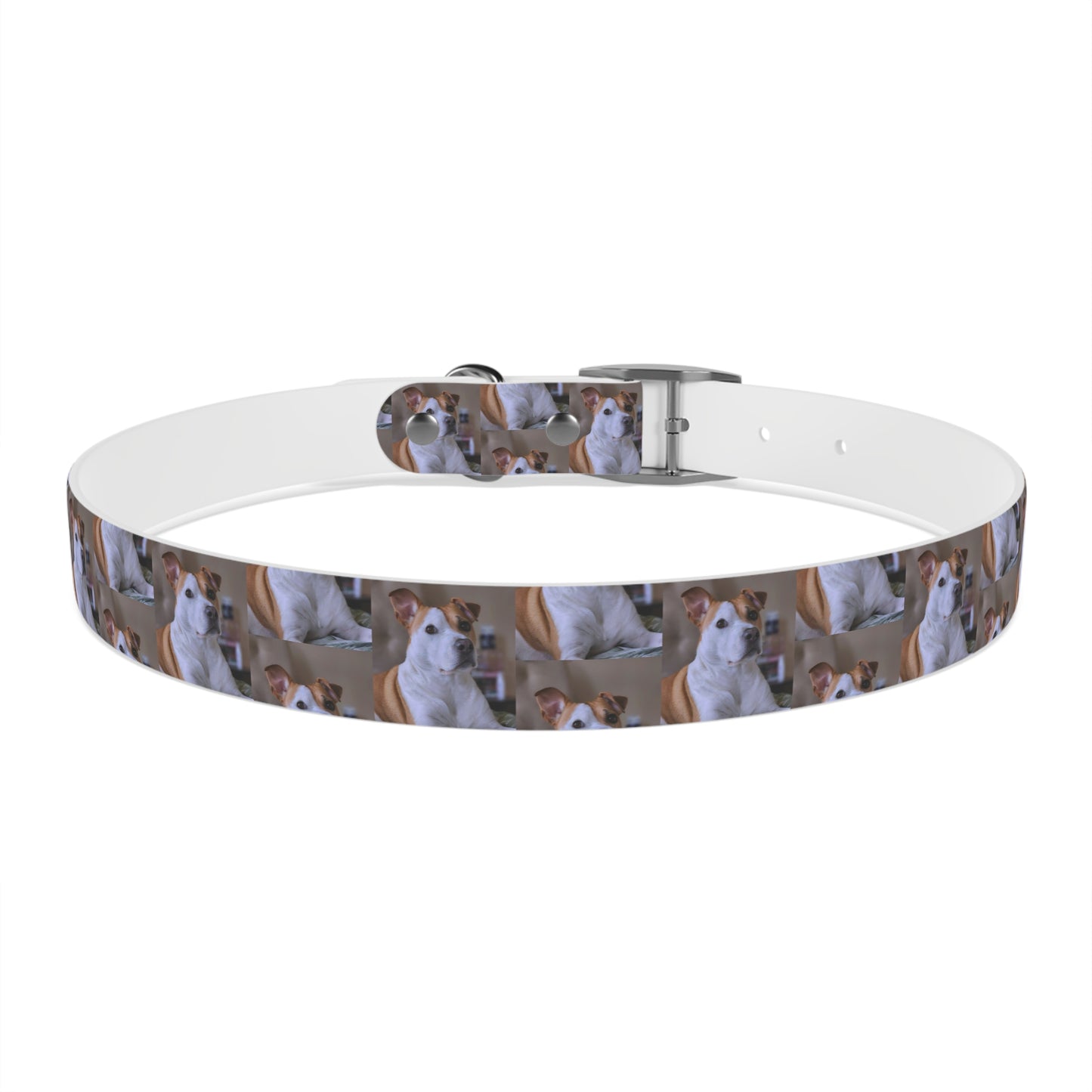Personalized Dog Collar with Adorable Pet Design - Stylish and Durable