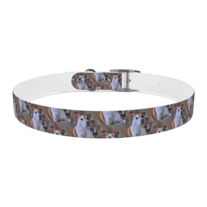 Personalized Dog Collar with Adorable Pet Design - Stylish and Durable