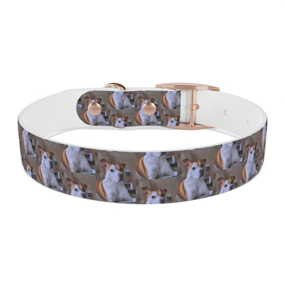Personalized Dog Collar with Adorable Pet Design - Stylish and Durable