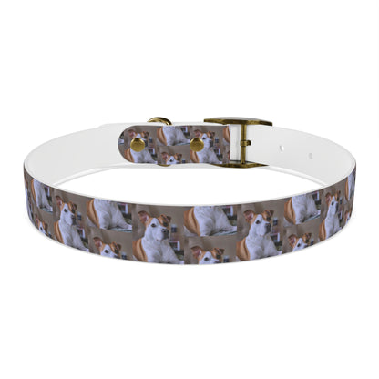 Personalized Dog Collar with Adorable Pet Design - Stylish and Durable