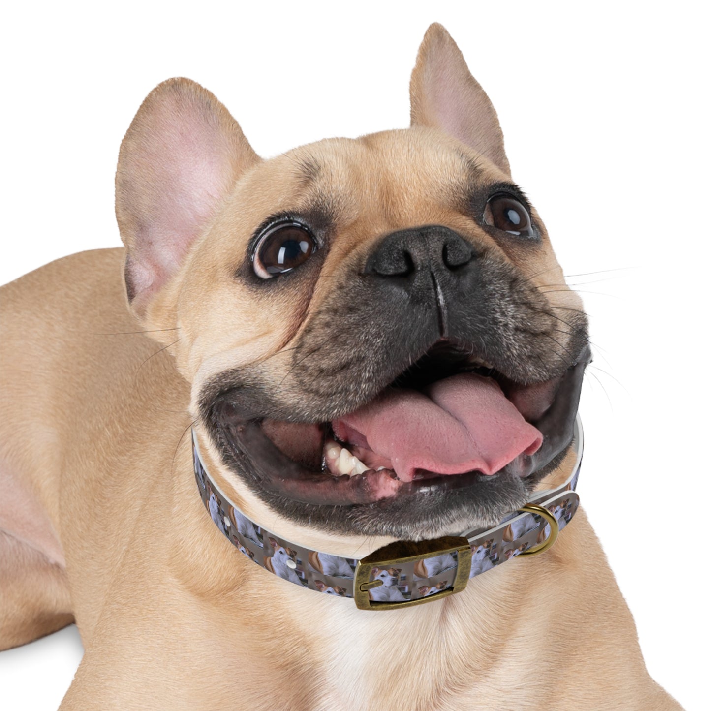 Personalized Dog Collar with Adorable Pet Design - Stylish and Durable