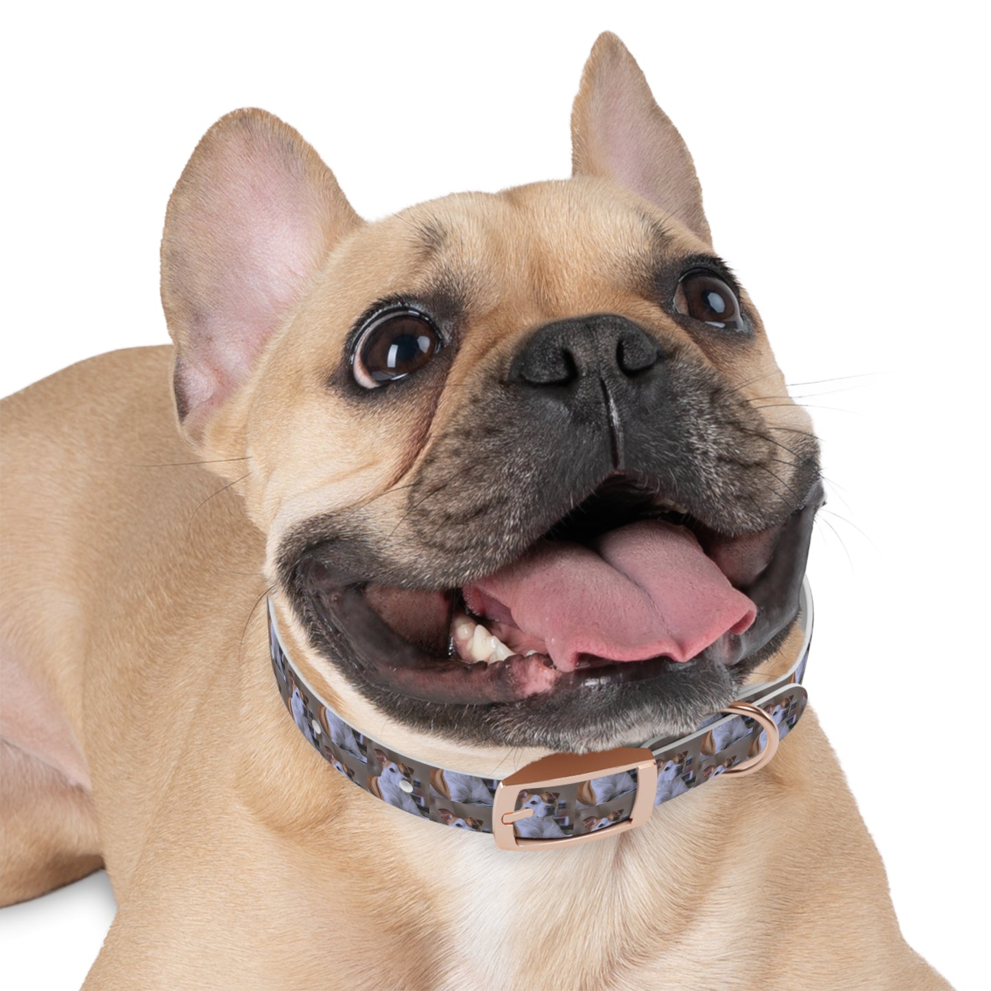 Personalized Dog Collar with Adorable Pet Design - Stylish and Durable