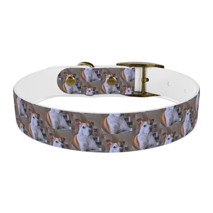 Personalized Dog Collar with Adorable Pet Design - Stylish and Durable