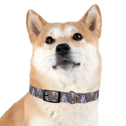 Personalized Dog Collar with Adorable Pet Design - Stylish and Durable
