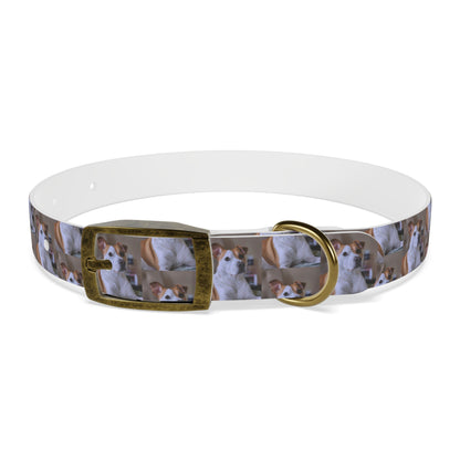 Personalized Dog Collar with Adorable Pet Design - Stylish and Durable
