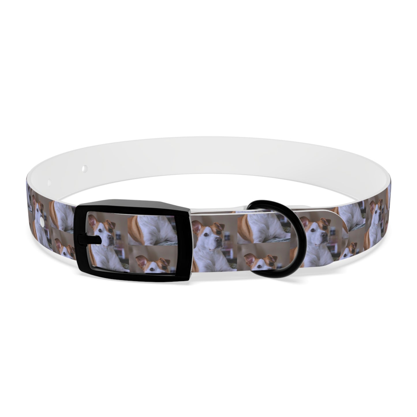 Personalized Dog Collar with Adorable Pet Design - Stylish and Durable