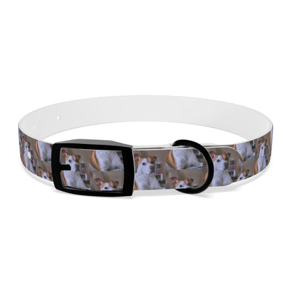 Personalized Dog Collar with Adorable Pet Design - Stylish and Durable