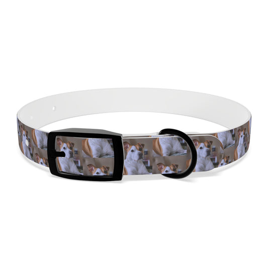 Personalized Dog Collar with Adorable Pet Design - Stylish and Durable