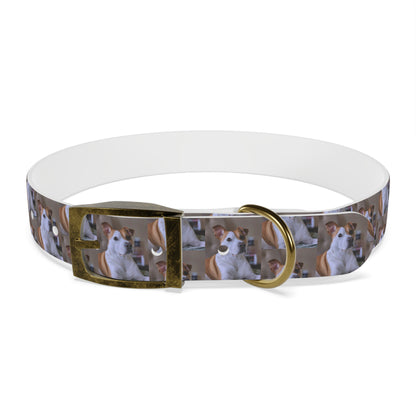 Personalized Dog Collar with Adorable Pet Design - Stylish and Durable