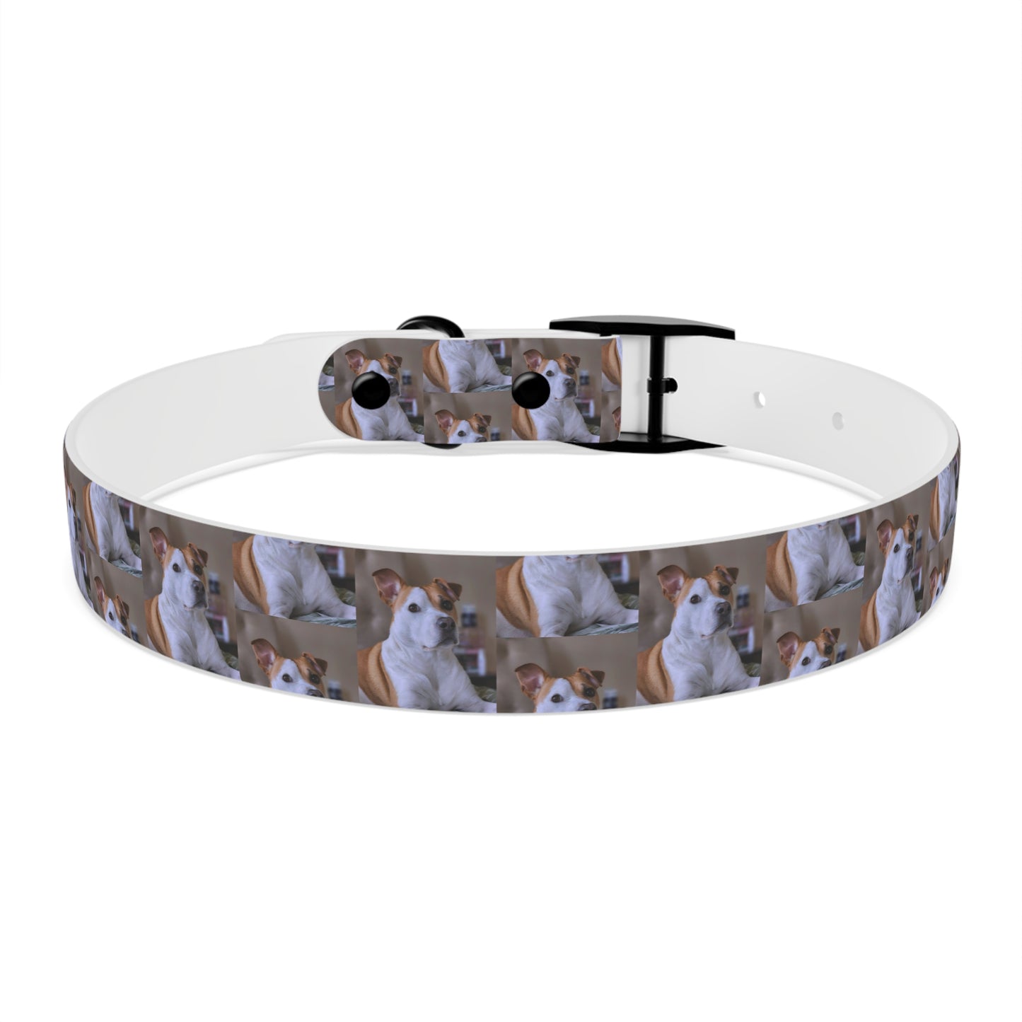Personalized Dog Collar with Adorable Pet Design - Stylish and Durable