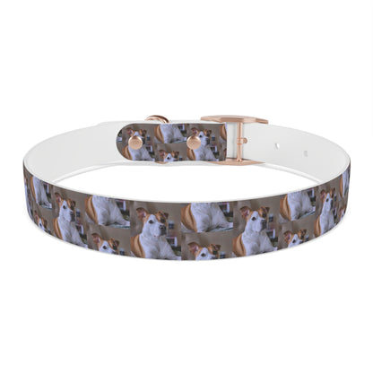 Personalized Dog Collar with Adorable Pet Design - Stylish and Durable