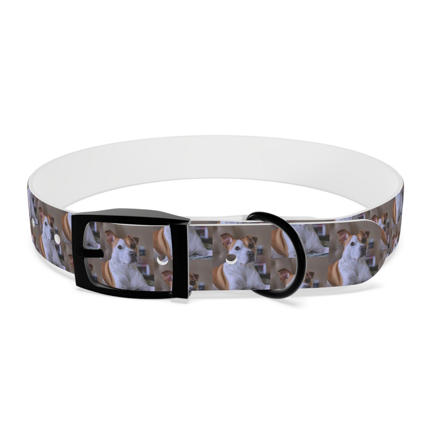 Personalized Dog Collar with Adorable Pet Design - Stylish and Durable