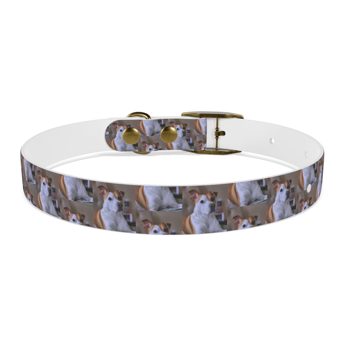 Personalized Dog Collar with Adorable Pet Design - Stylish and Durable