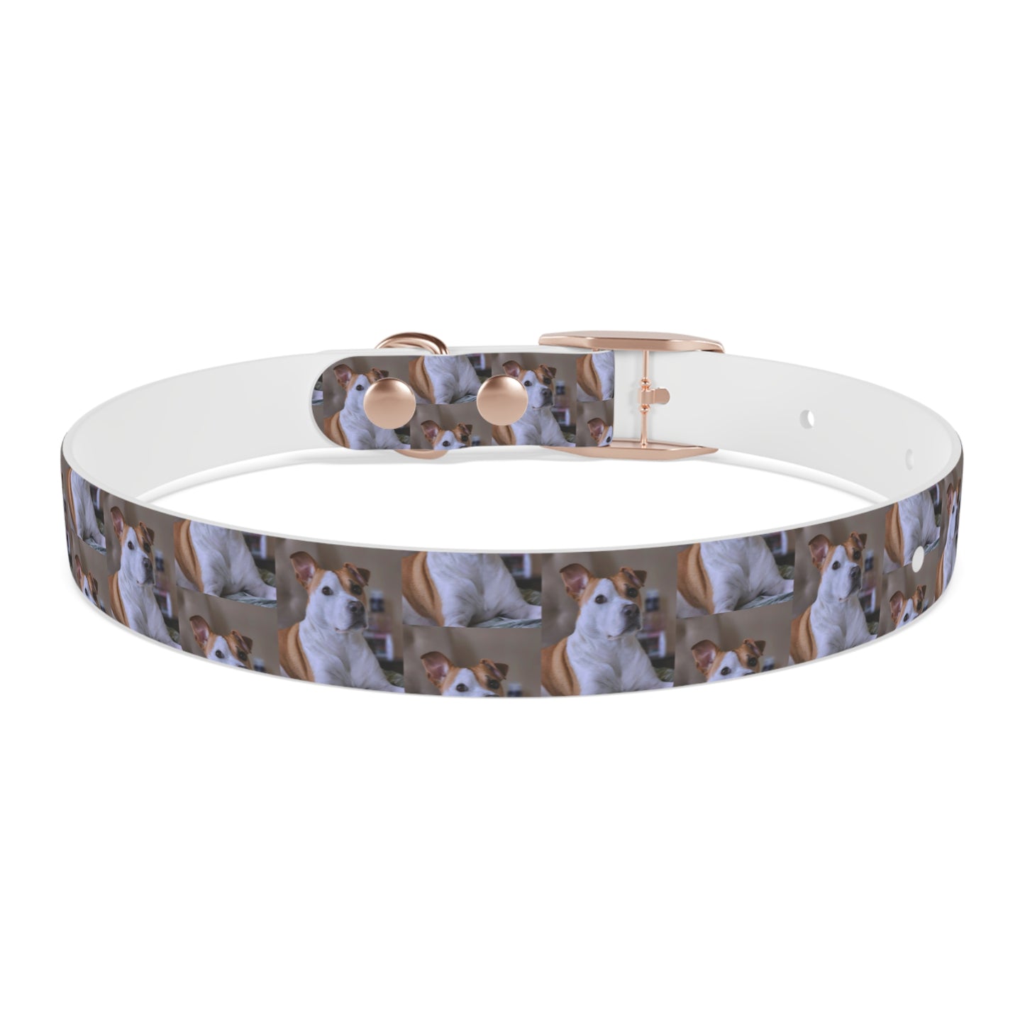 Personalized Dog Collar with Adorable Pet Design - Stylish and Durable