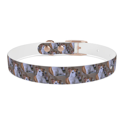 Personalized Dog Collar with Adorable Pet Design - Stylish and Durable