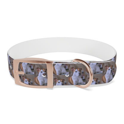 Personalized Dog Collar with Adorable Pet Design - Stylish and Durable