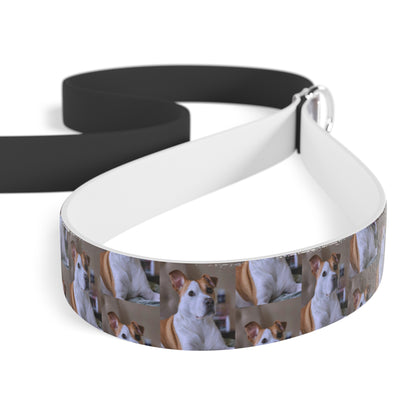 Custom Dog Leash with Unique Design - Perfect for Pet Lovers