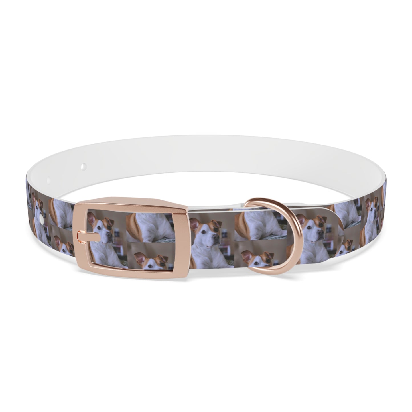 Personalized Dog Collar with Adorable Pet Design - Stylish and Durable