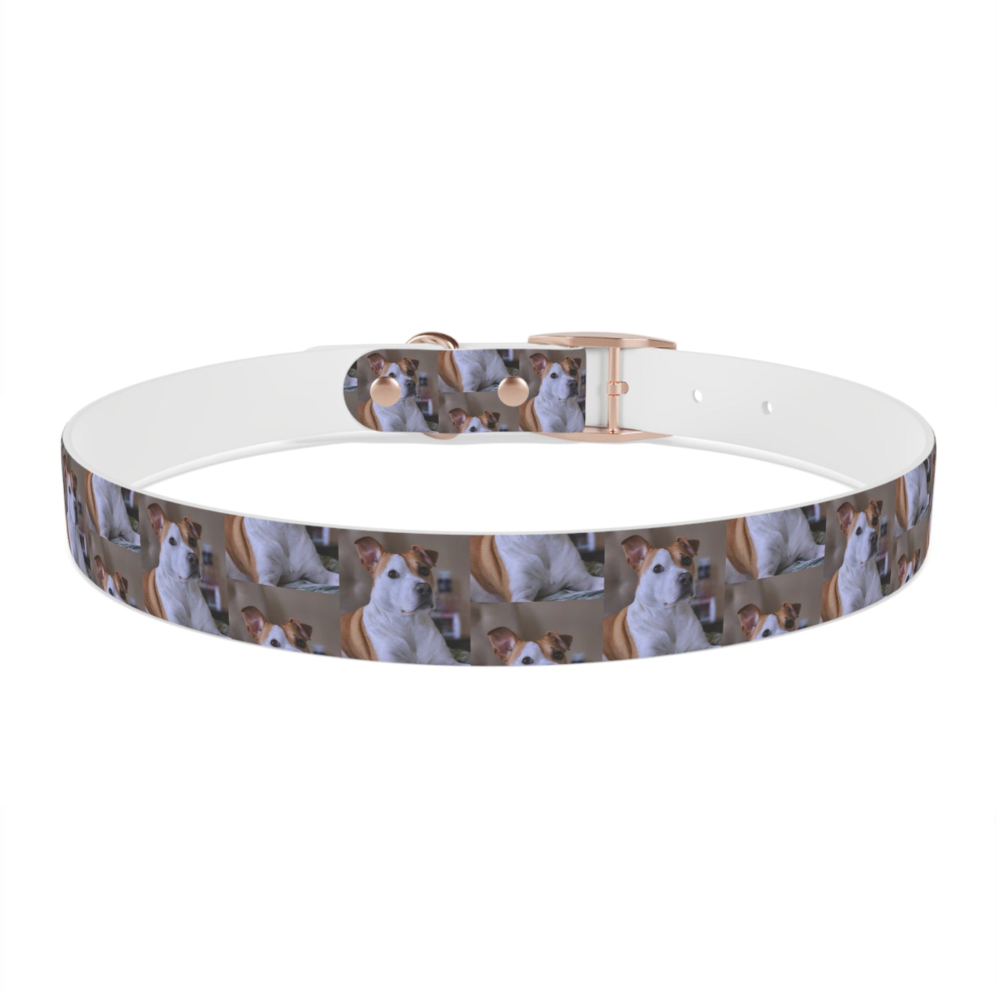 Personalized Dog Collar with Adorable Pet Design - Stylish and Durable