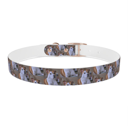 Personalized Dog Collar with Adorable Pet Design - Stylish and Durable