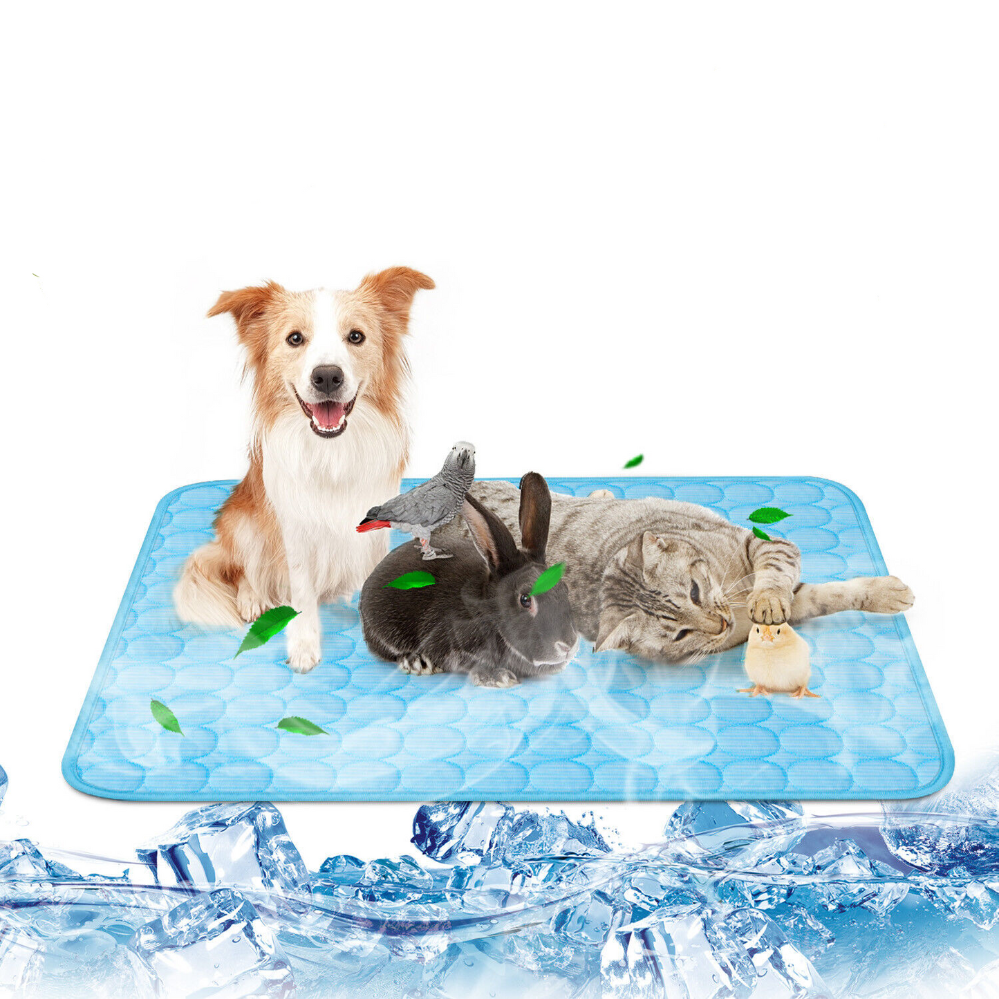 Bichoushop® – Premium Kühlkissen für Hunde & Katzen