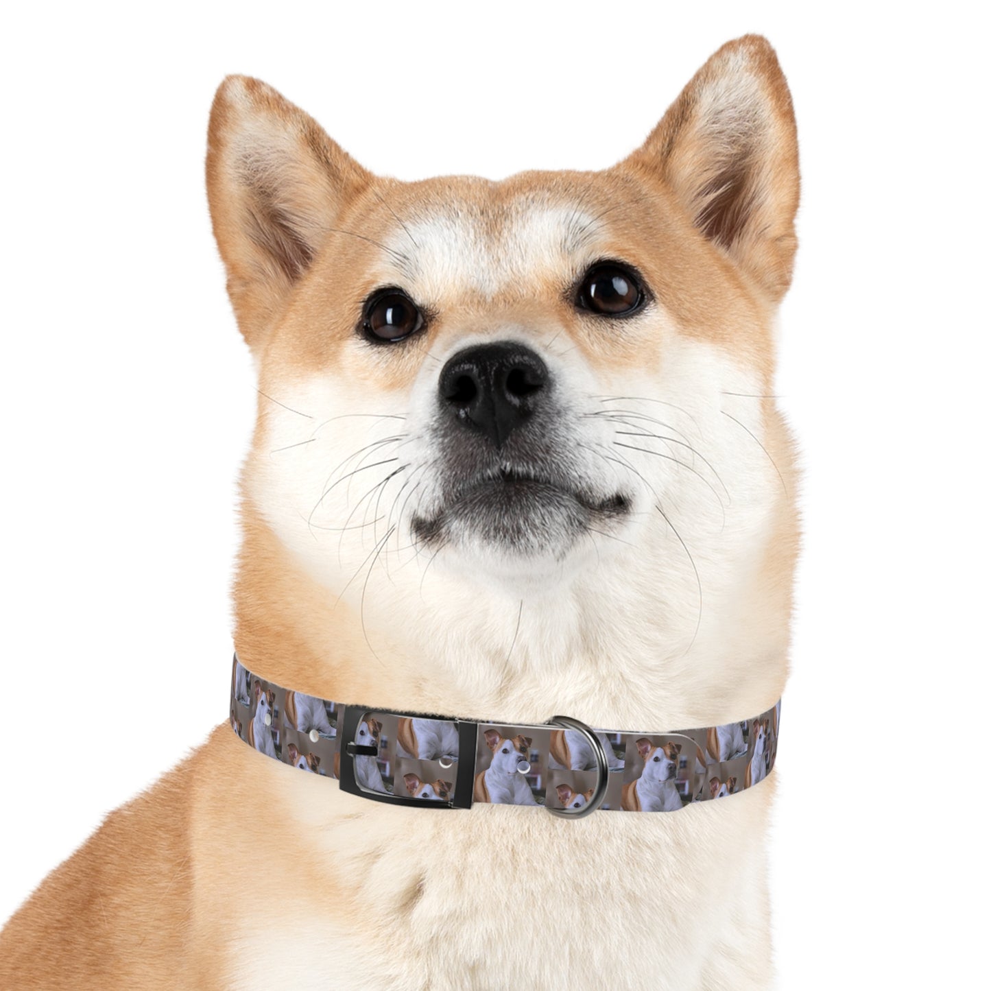 Personalized Dog Collar with Adorable Pet Design - Stylish and Durable