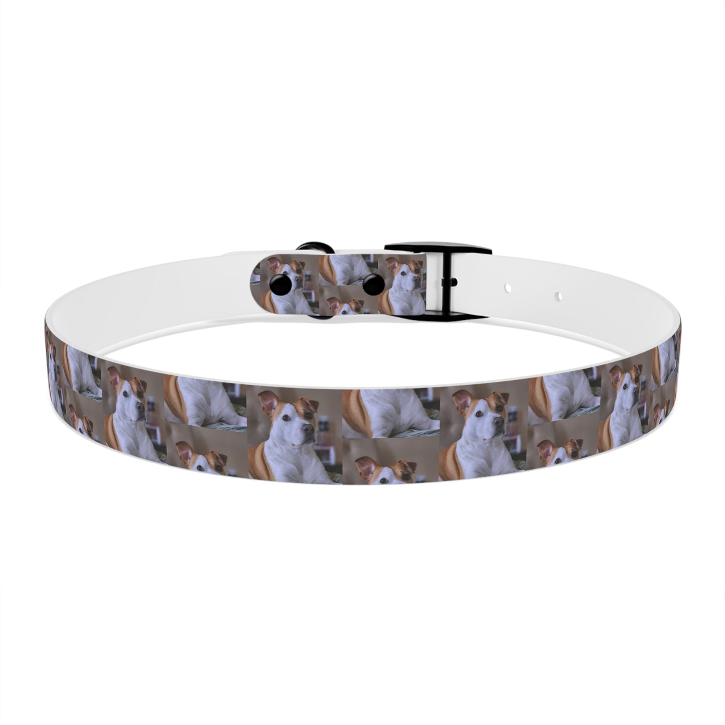 Personalized Dog Collar with Adorable Pet Design - Stylish and Durable