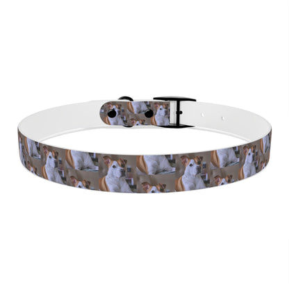 Personalized Dog Collar with Adorable Pet Design - Stylish and Durable