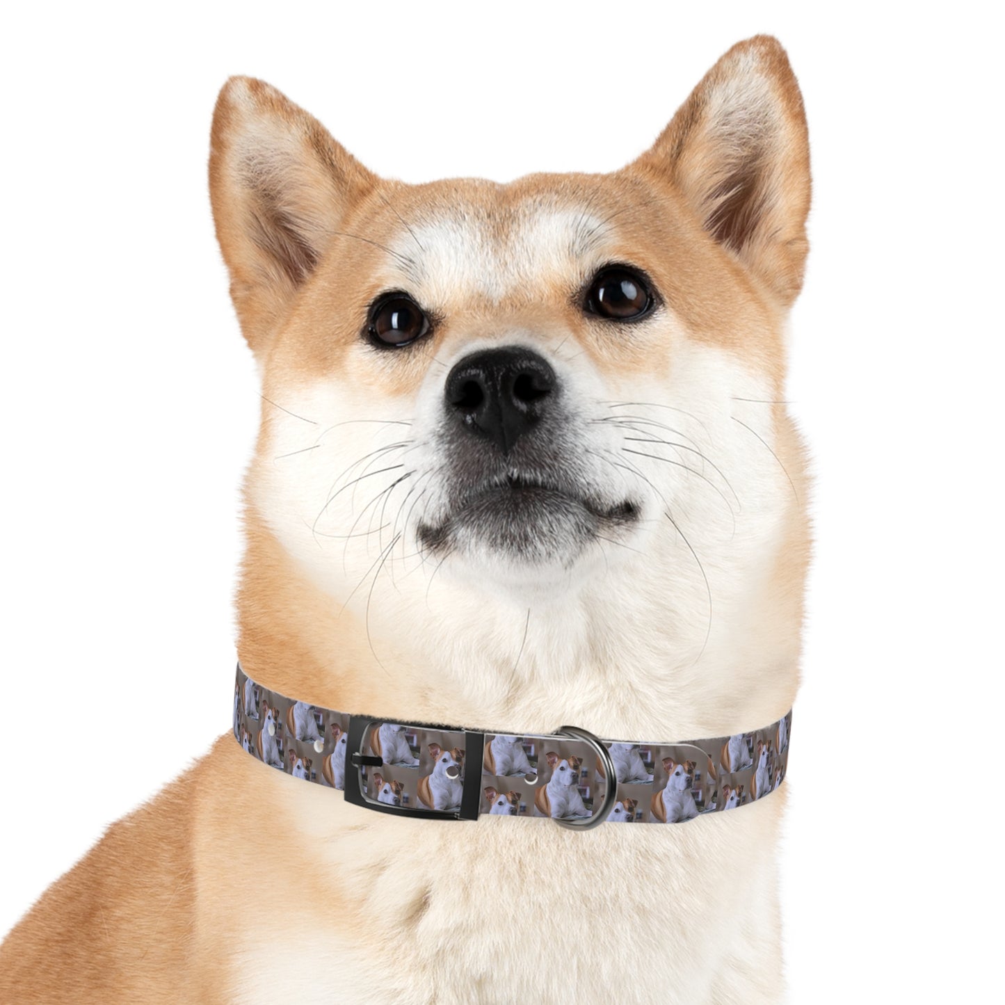 Personalized Dog Collar with Adorable Pet Design - Stylish and Durable