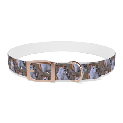 Personalized Dog Collar with Adorable Pet Design - Stylish and Durable