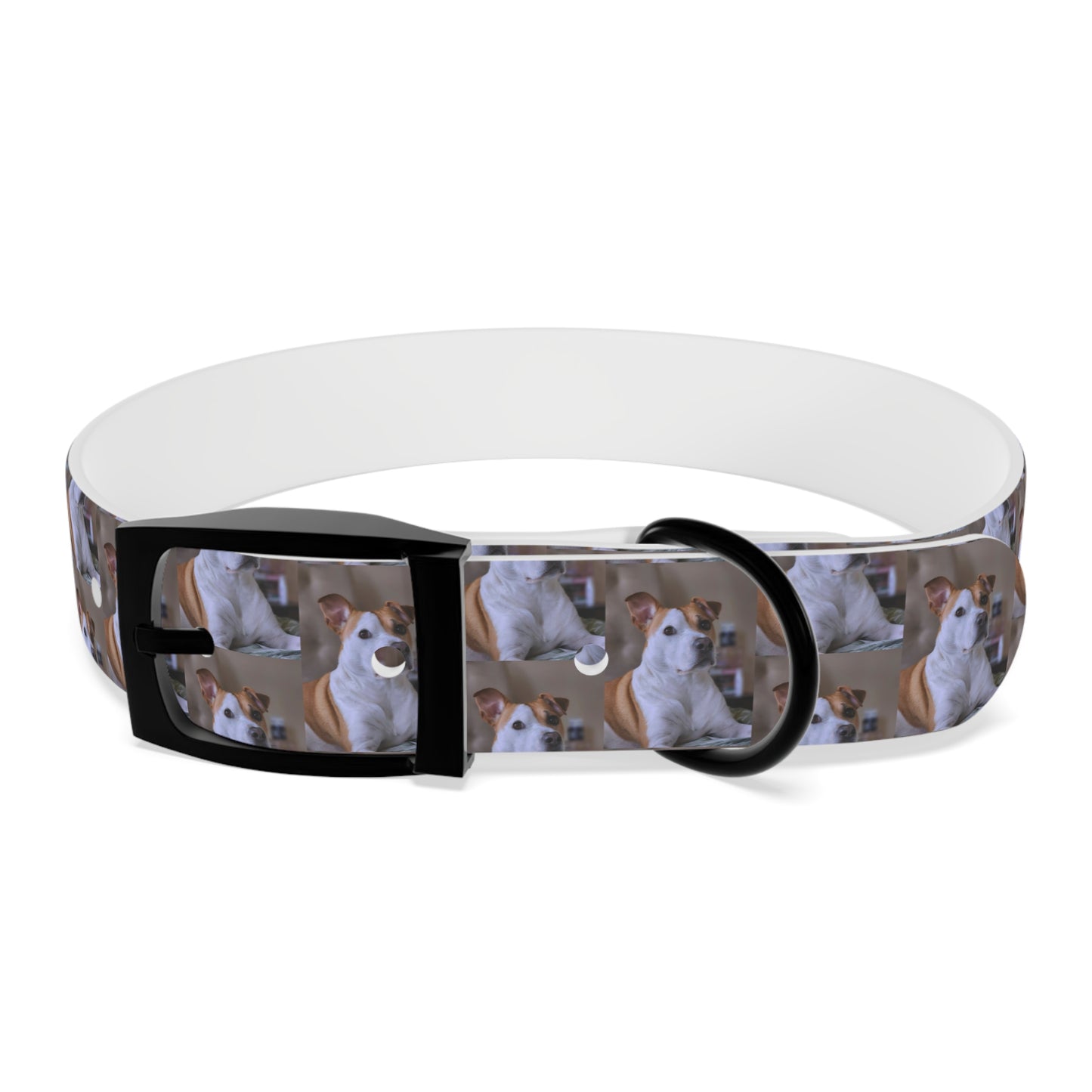 Personalized Dog Collar with Adorable Pet Design - Stylish and Durable