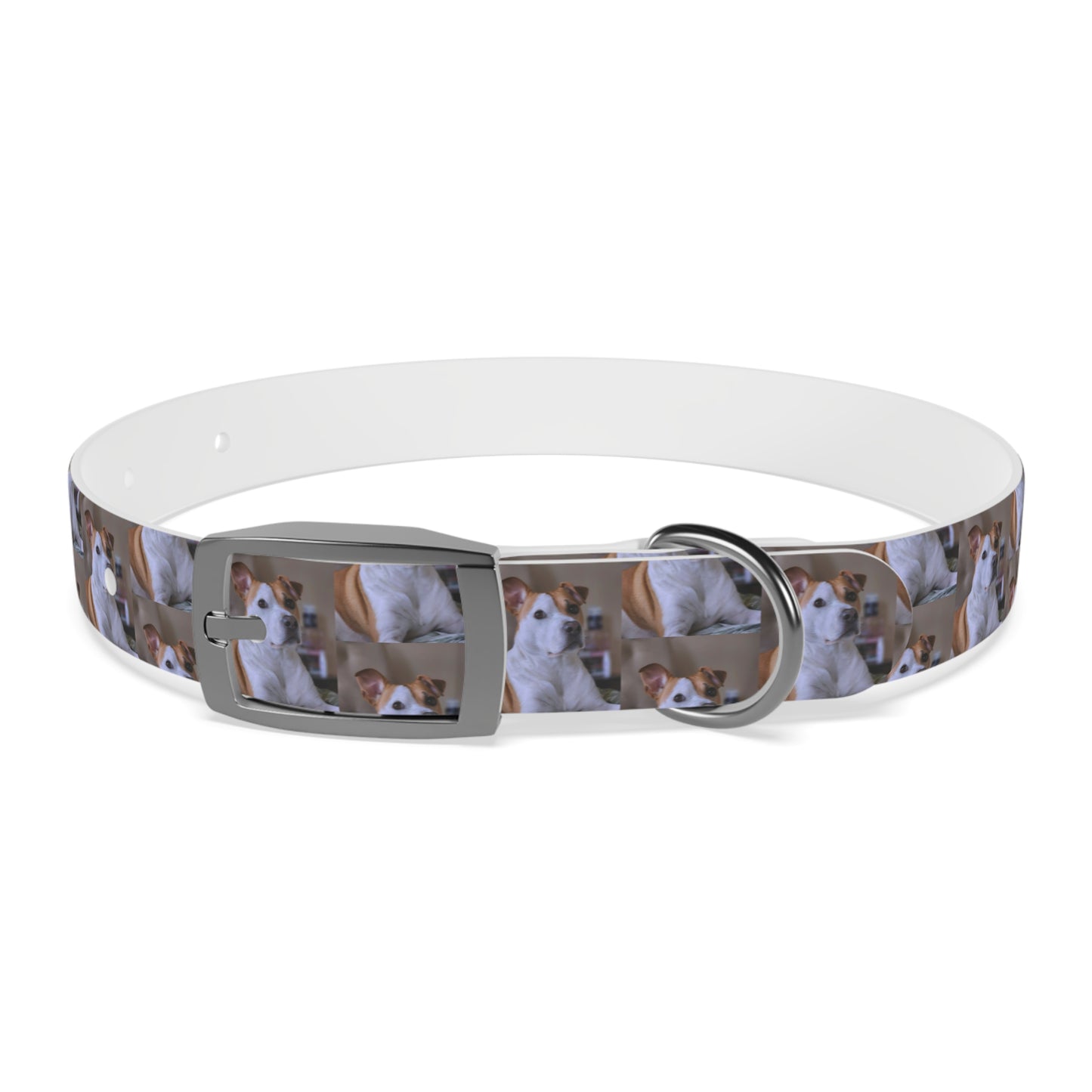 Personalized Dog Collar with Adorable Pet Design - Stylish and Durable
