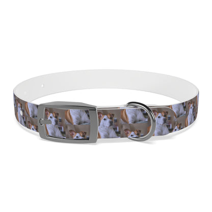 Personalized Dog Collar with Adorable Pet Design - Stylish and Durable