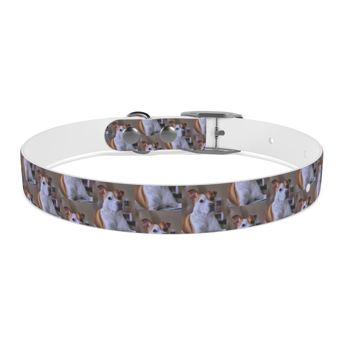 Personalized Dog Collar with Adorable Pet Design - Stylish and Durable