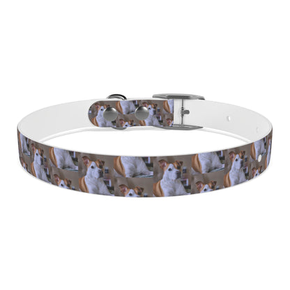 Personalized Dog Collar with Adorable Pet Design - Stylish and Durable