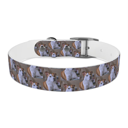 Personalized Dog Collar with Adorable Pet Design - Stylish and Durable