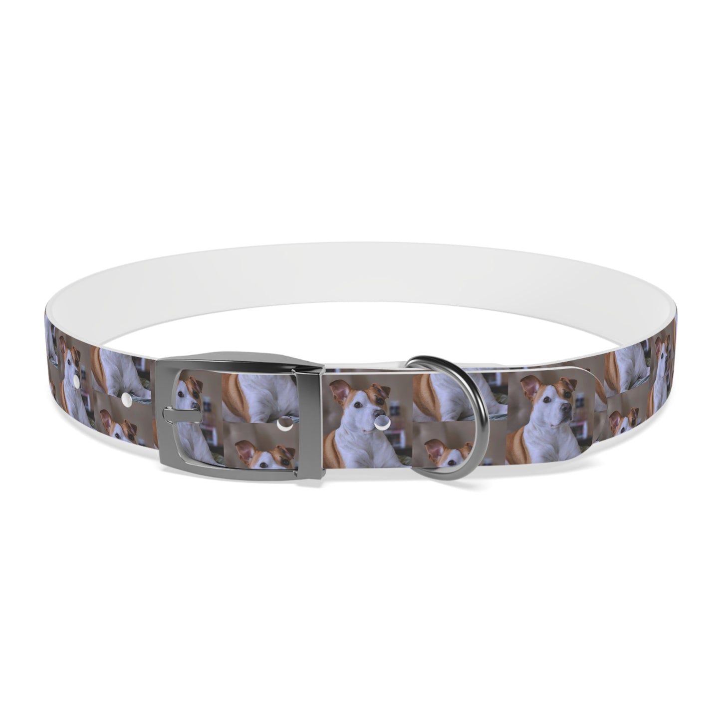 Personalized Dog Collar with Adorable Pet Design - Stylish and Durable
