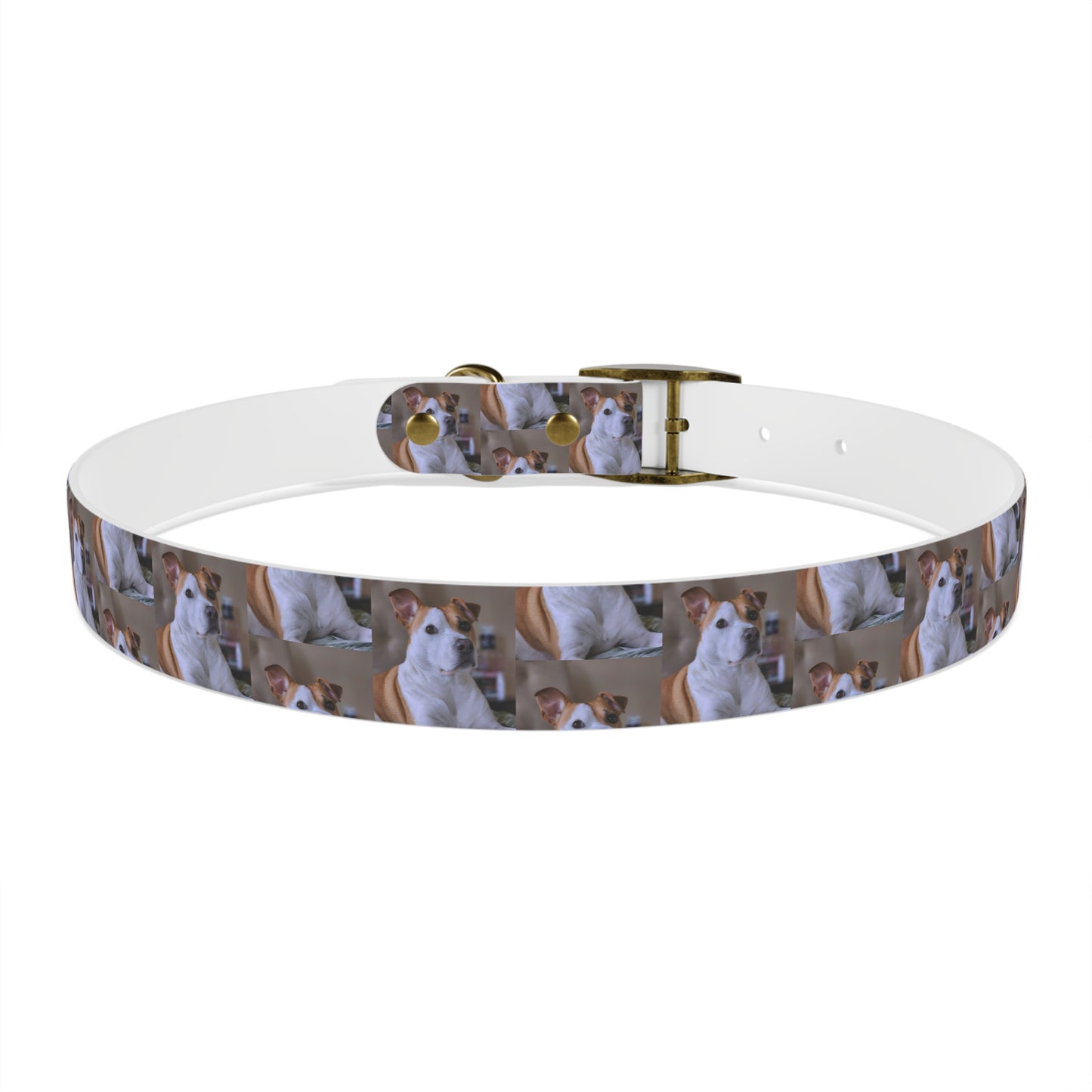 Personalized Dog Collar with Adorable Pet Design - Stylish and Durable