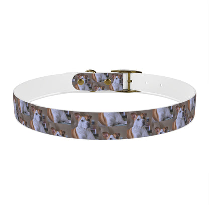 Personalized Dog Collar with Adorable Pet Design - Stylish and Durable