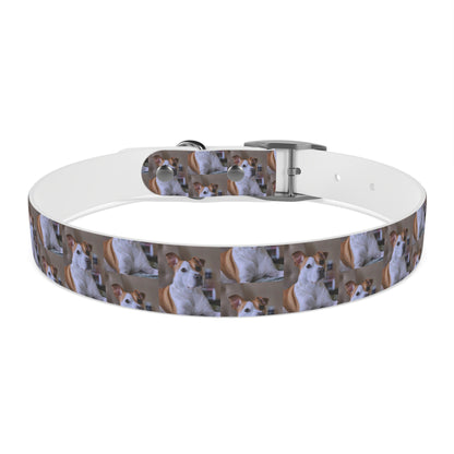 Personalized Dog Collar with Adorable Pet Design - Stylish and Durable