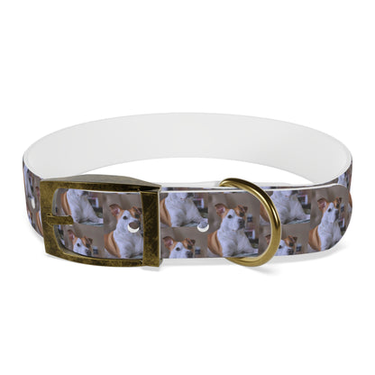 Personalized Dog Collar with Adorable Pet Design - Stylish and Durable