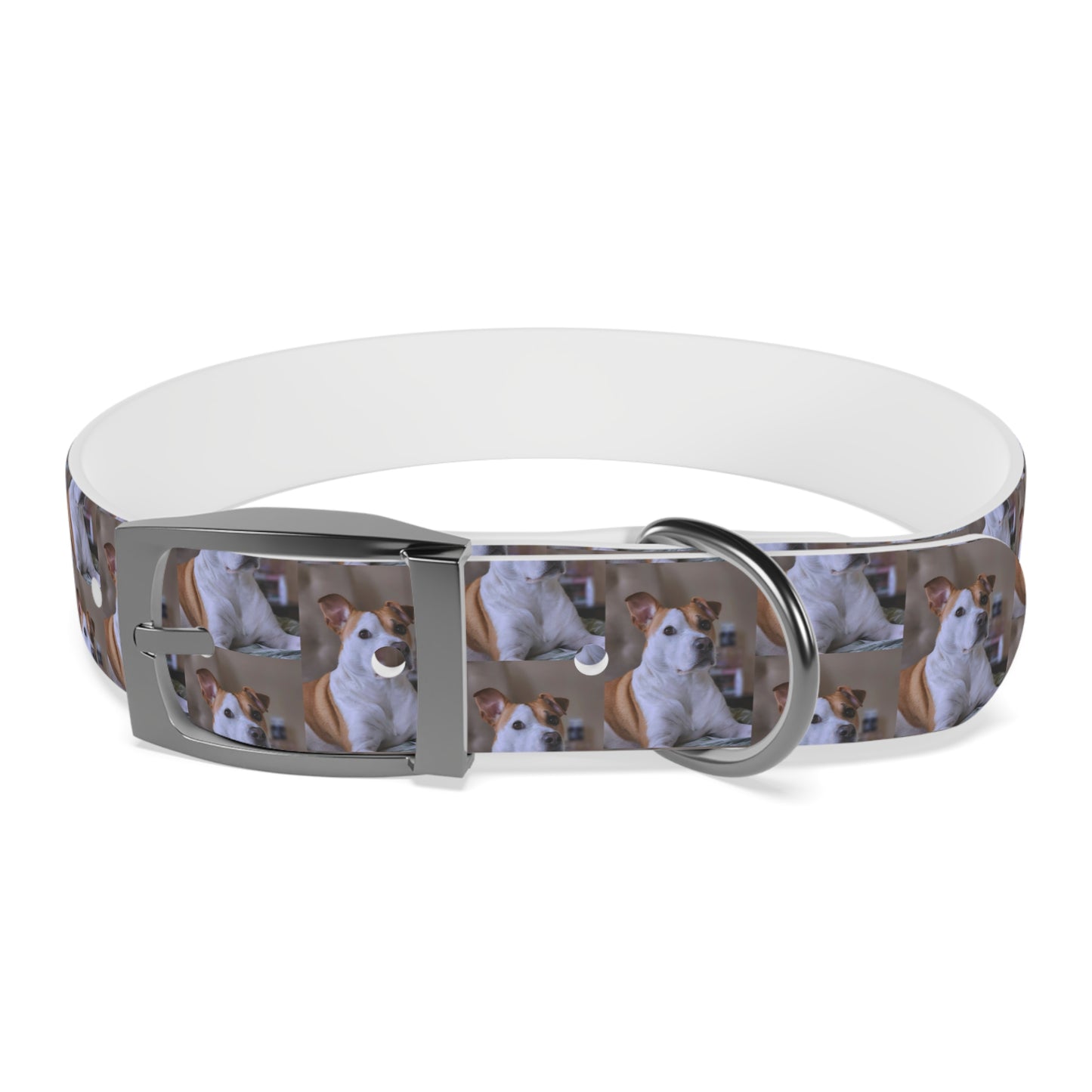 Personalized Dog Collar with Adorable Pet Design - Stylish and Durable