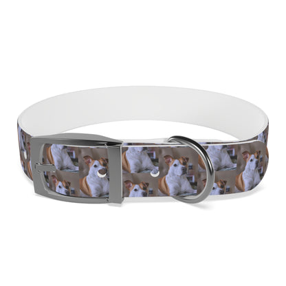 Personalized Dog Collar with Adorable Pet Design - Stylish and Durable
